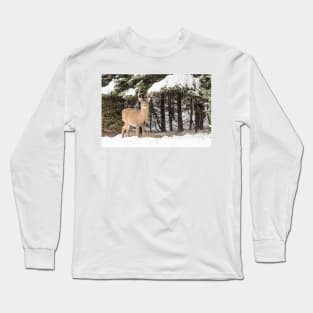 Deer in the snow woods Long Sleeve T-Shirt